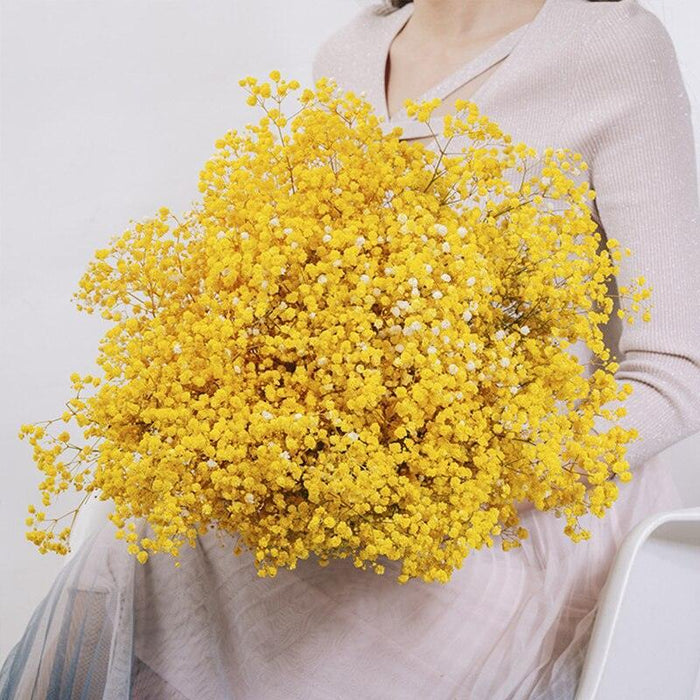 Elegant Preserved Baby's Breath Flowers: Japanese Technology for Chic Events and Decor