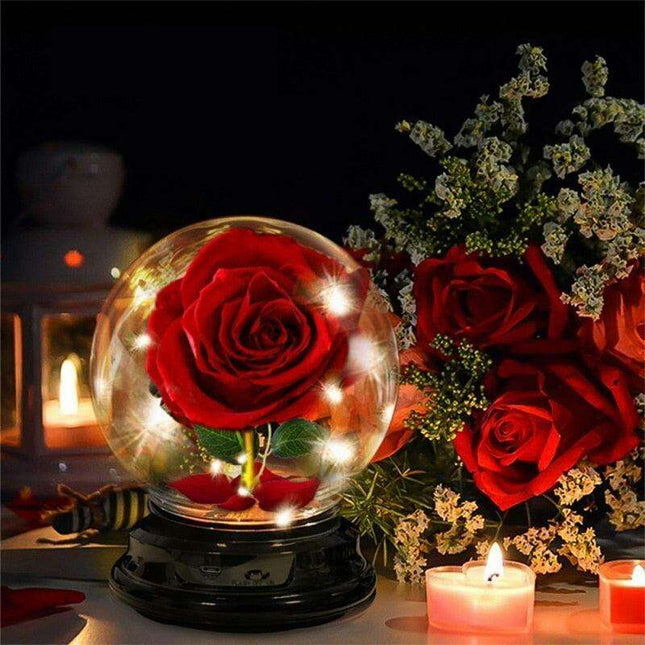 Radiant Velvet Rose Lantern - A Cherished Celebration of Love and Grace