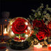 Luxury Velvet Rose Lantern - Eternal Beauty in a Glass Dome