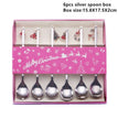 silver Mix Spoon Box