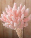 light pink / 30pcs