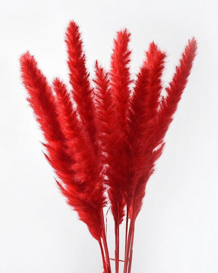 Elegant Dried Floral Arrangement with Pampas Grass - Ideal for Home Decor and Special Occasions