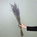 Elegant Lavender Bliss: Premium Dried Flower Bundle for Wedding and Home Decor