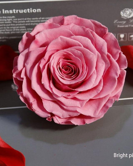 Timeless Grace: Luxurious Preserved Rose Head for Lasting Splendor