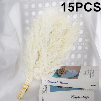 Reed and Blossom Serenity Dried Flower Arrangement