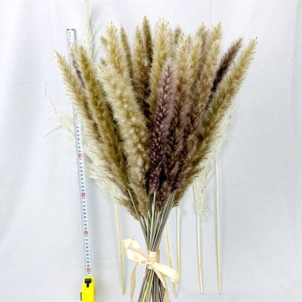 Chic Pampas Grass Home Decor Set - 15 Beautiful Dried Bouquets