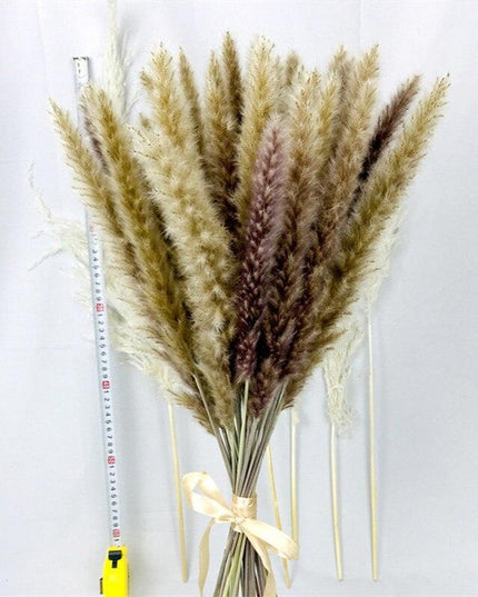 Chic Pampas Grass Home Decor Set - 15 Beautiful Dried Bouquets