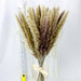 Natural Dried Pampas Flowers Bundle - 15 Pieces