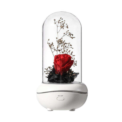 Eternal Elegance LED Rose Dome with Aromatherapy and USB Power - Captivating Floral Accent Light - Timeless Botanical Experience - Preserved Rose Delight