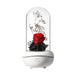 Enchanted LED Rose Dome with Aromatherapy and USB Charging - Floral Elegance Accent Piece - Mesmerizing Botanical Aura