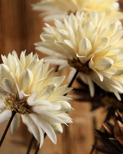 Elegant Magnolia: Handcrafted Dried Floral Arrangement with Durable Iron Stems