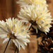 Artisanal Magnolia Branches - Exquisite Handmade Dry Flowers