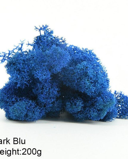 Timeless Greenery Art Creation Kit - Eternal Moss & Custom Grass Mix - 200g