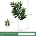 Opulent Willow Leaves: Sophisticated Greenery for Luxurious Home Accents