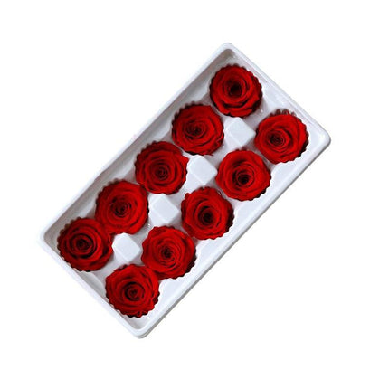 Eternal Blooms: Luxurious 10-Piece Preserved Rose Heads Collection