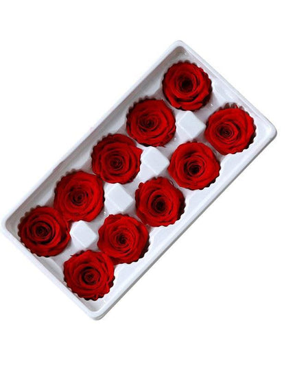 Eternal Blooms: Luxurious 10-Piece Preserved Rose Heads Collection