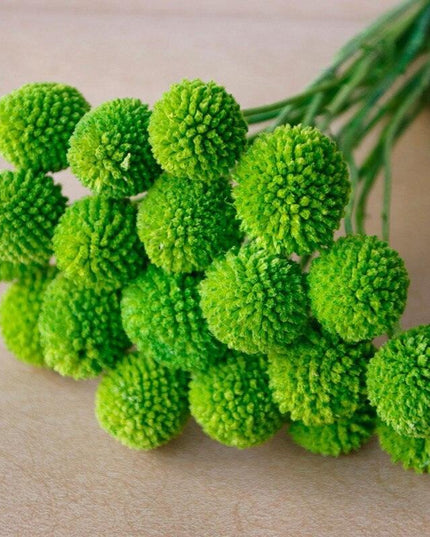 Elegant Golden Ball Dried Flower Set - 20pcs for Home and Wedding Decoration