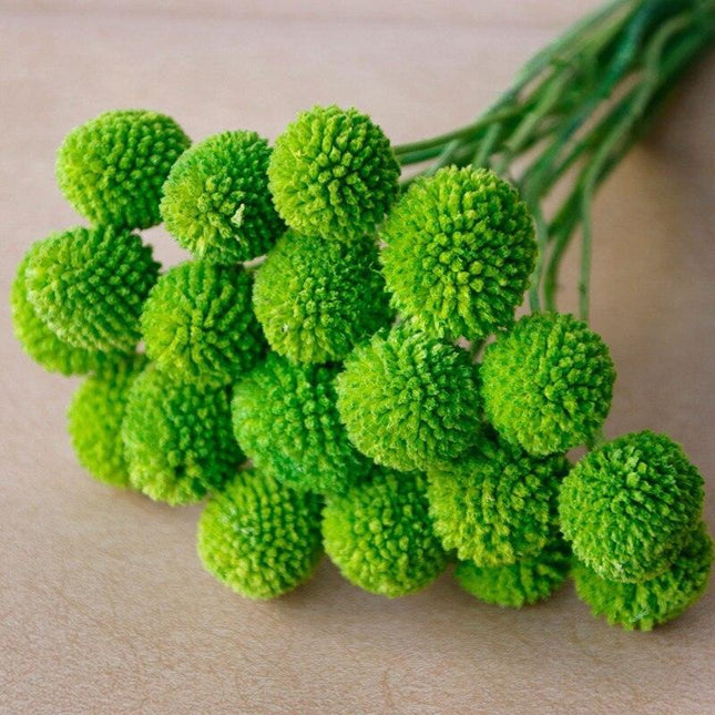 Elegant Golden Ball Dried Flower Set - 20pcs for Home and Wedding Decoration