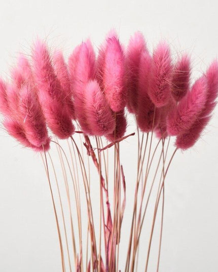 Boho Chic Dried Bunny Tail Floral Arrangement - Elegant Rustic Home Accent