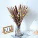 Small Pampas Grass Bundle - Rustic Dried Flower Arrangement for Home and Events