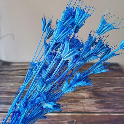 Enchanting Anise Floral Harmony Delights