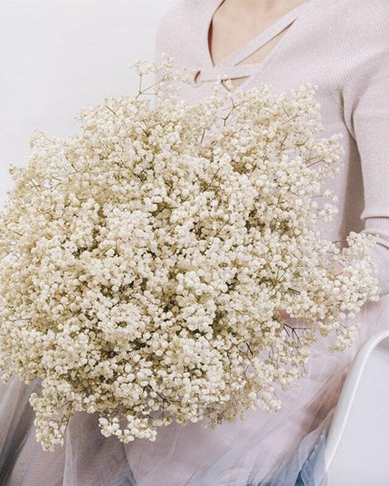 Elegant Preserved Baby's Breath Flowers: A Stylish Touch for Your Events and Home Decor