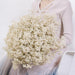 Elegant Preserved Baby's Breath Flowers for Stylish Events and Decor