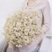 Elegant Preserved Baby's Breath Flowers: Japanese Technology for Chic Events and Decor