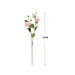 100 Pink Prairie Gentian Flowers Bouquet