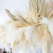 Bohemian Dried Pampas Grass Arrangement for Chic Home Styling