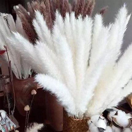 Timeless Elegance - Vibrant Color and White Pampas Grass Bouquet with 15 Stems