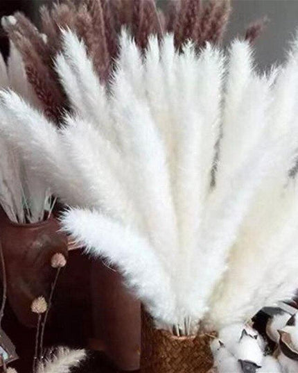 Timeless Elegance - Vibrant Color and White Pampas Grass Bouquet with 15 Stems