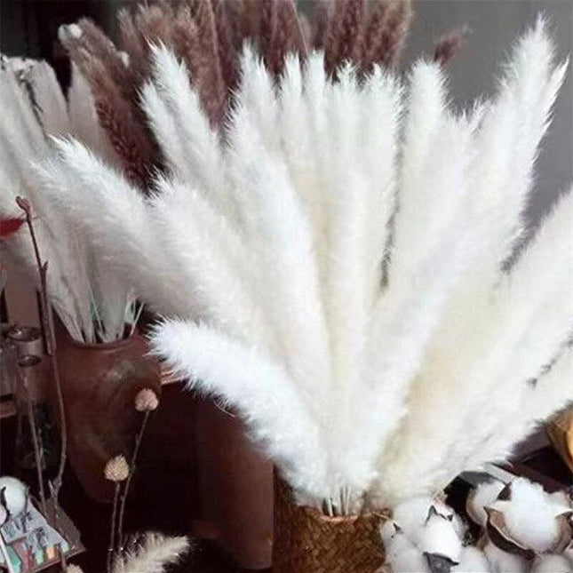 Timeless Elegance - Vibrant Color and White Pampas Grass Bouquet with 15 Stems