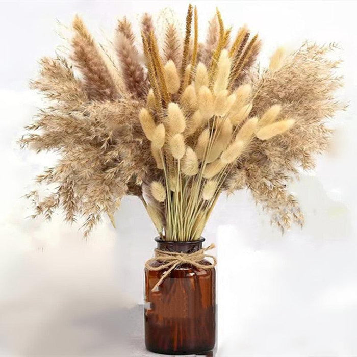 Exquisite Small Pampas Flower & Reed Grass Bouquet | Natural Dried Flowers