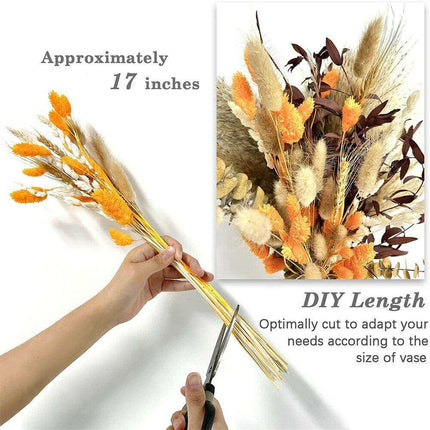 Autumn Harmony: Premium 100-Piece Dried Pampas Grass Collection for Elegant Home Decor