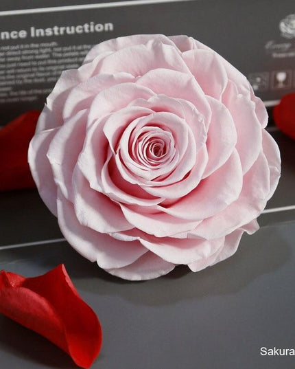 Timeless Grace: Luxurious Preserved Rose Head for Lasting Splendor