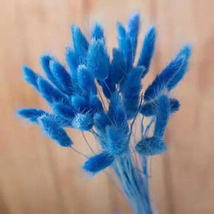 30pcs 100pcs Fluffy Bunny Tails Dried Flowers Arrangement Natural Rabbit Tail Grass for Vase Boho Floral for Wedding Home Decor-0-Très Elite-sapphire blue-30pcs-Très Elite