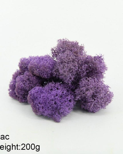 Timeless Greenery Art Creation Kit - Eternal Moss & Custom Grass Mix - 200g