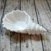 European Hotel Collection: Handcrafted Seashell-inspired Dining Set