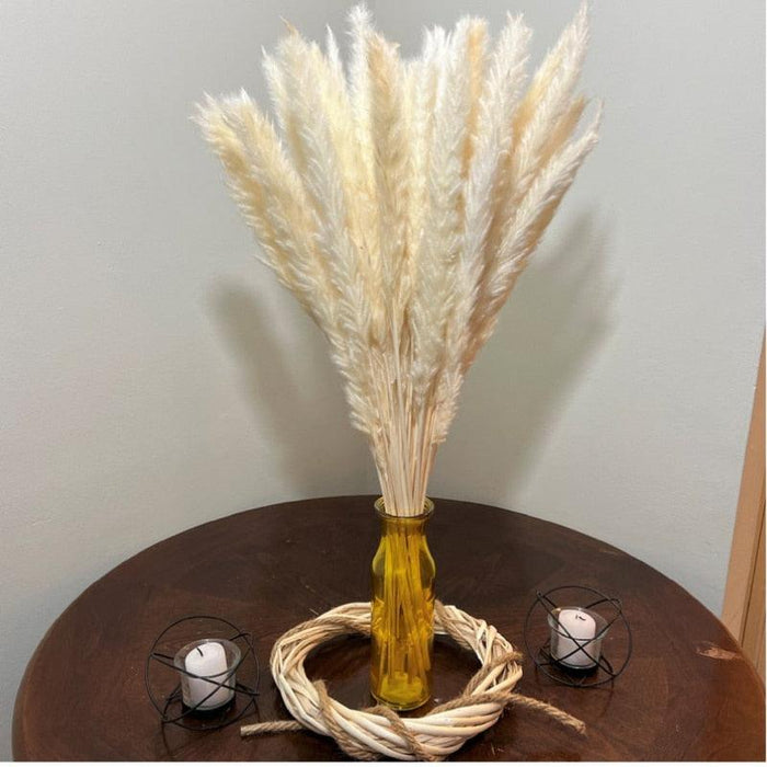 Sophisticated Reed and Pampas Grass Floral Ensemble - Exquisite Botanical Display for Events and Home Styling