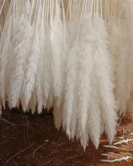 Timeless Elegance - Vibrant Color and White Pampas Grass Bouquet with 15 Stems