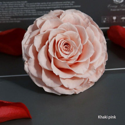 Timeless Grace: Luxurious Preserved Rose Head for Lasting Splendor