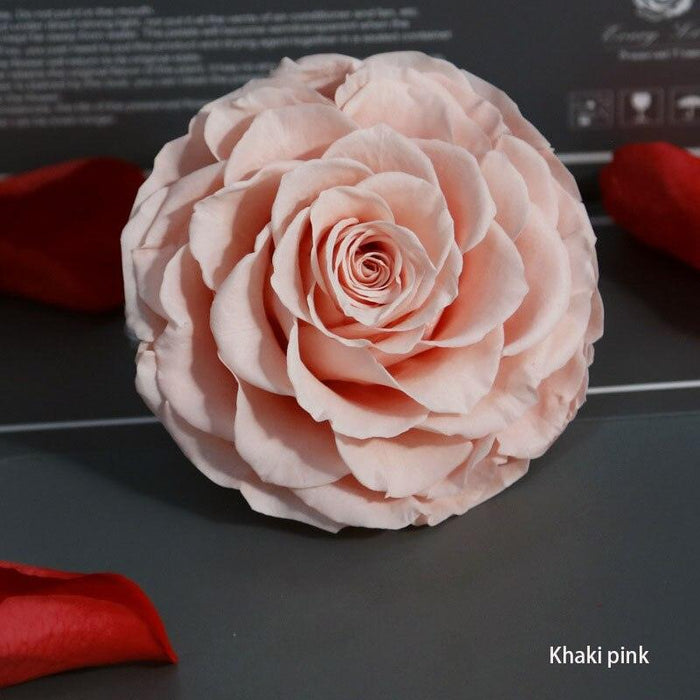 Eternal Beauty: Premium Preserved Rose Head for Timeless Sophistication