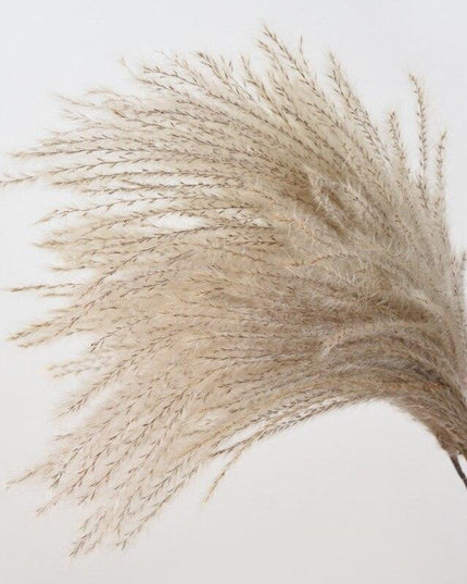 Chic Dried Pampas Grass and Reed Arrangement for Home and Wedding Decor