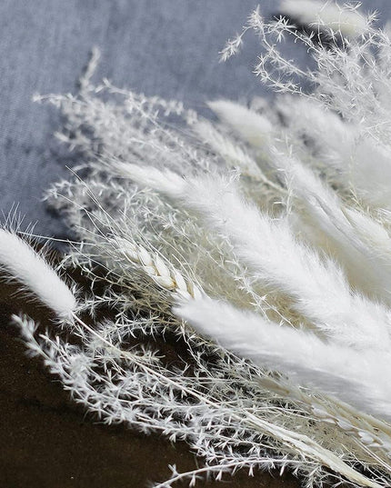 Whimsical White Pampas Grass Collection - 70-Piece Set