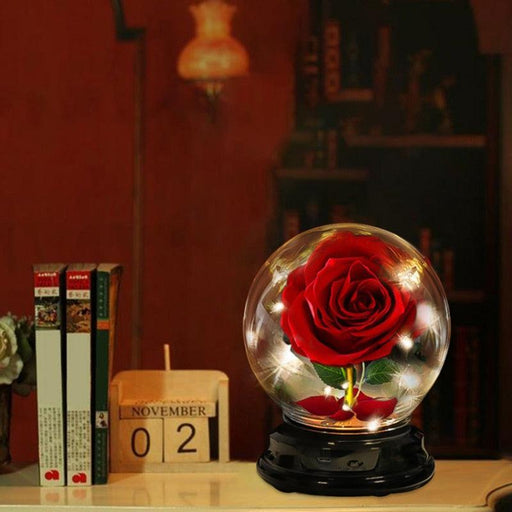 Mother Day Gift Dried Flowers Eternal Real Rose Home Decor with LED In Glass Dome Valentine&#39;s Day Gift Rose Round Lamp Ornaments-0-Très Elite-Très Elite