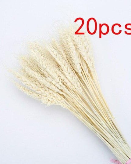 Boho-Inspired Pampas Grass Arrangement: Perfect for Weddings and Home Styling