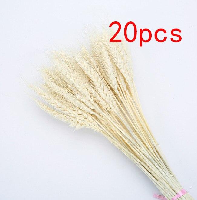 Boho-Inspired Pampas Grass Arrangement: Perfect for Weddings and Home Styling