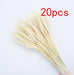 Boho-Inspired Pampas Grass Arrangement: Perfect for Weddings and Home Styling