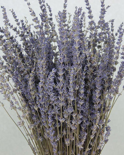 Elegance in Bloom: Exquisite Dried Lavender Bouquet for Weddings and Home Aesthetics